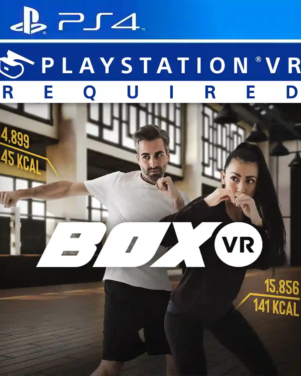 BoxVR PS4 PKG